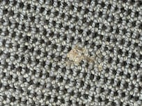 dirt on the carpet - I took more photos of the crumbs on the carpet but have not included them