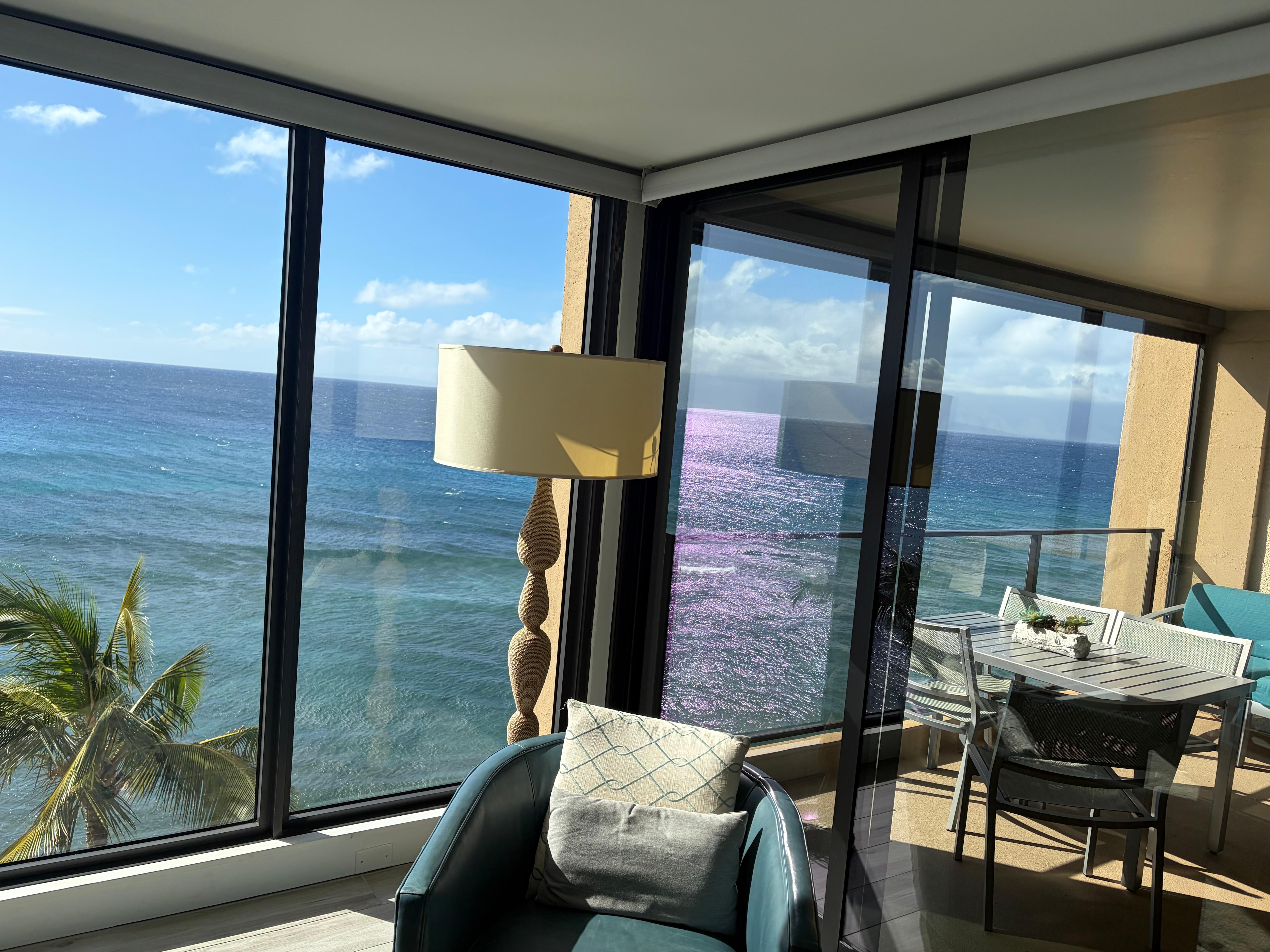 Your daily view from the living room