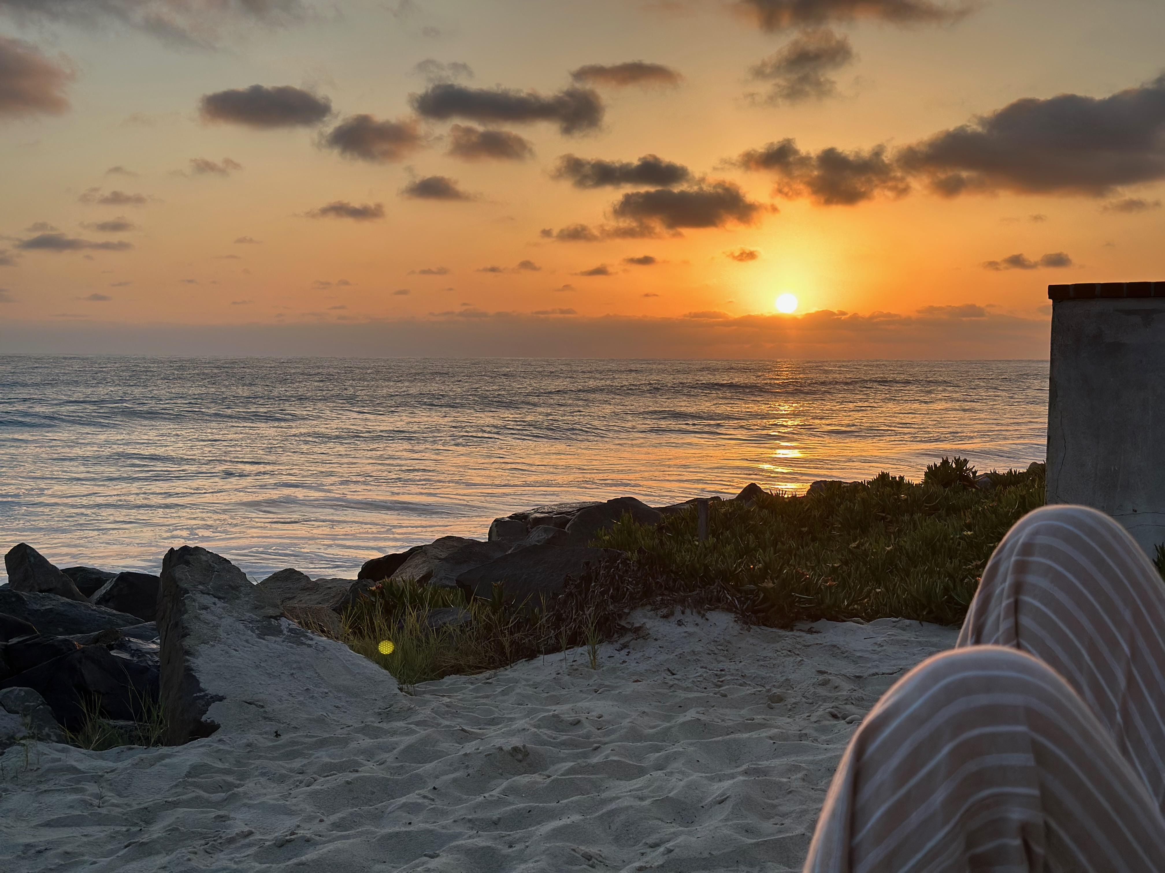 From the sandy back yard