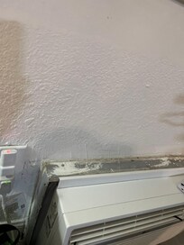 More poop filthy sills