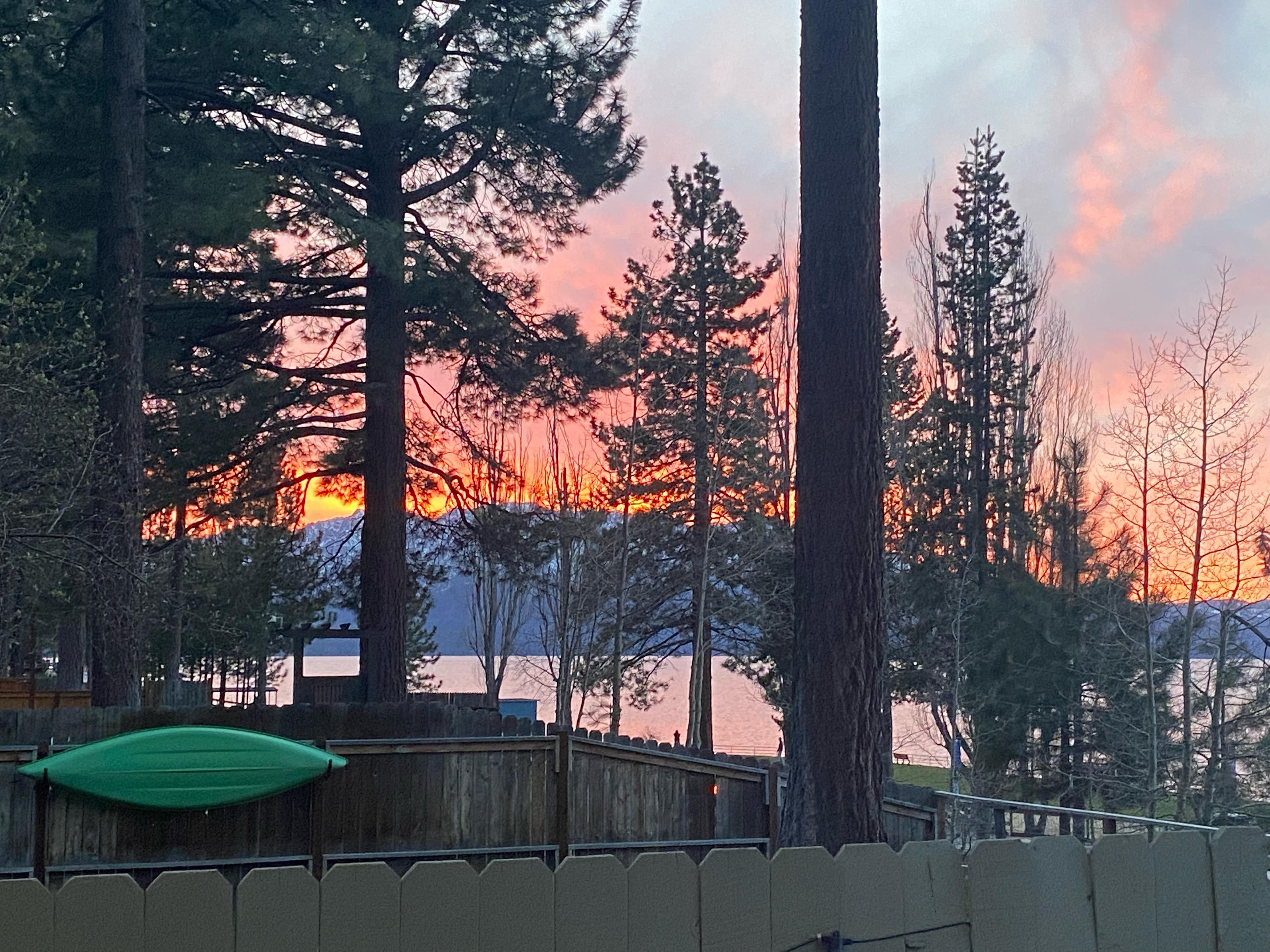 View from backyard at night