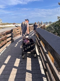 Taking the wagon to the beach!