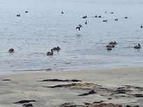 Pillar Point Harbor