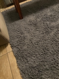 Dirty gross area rug