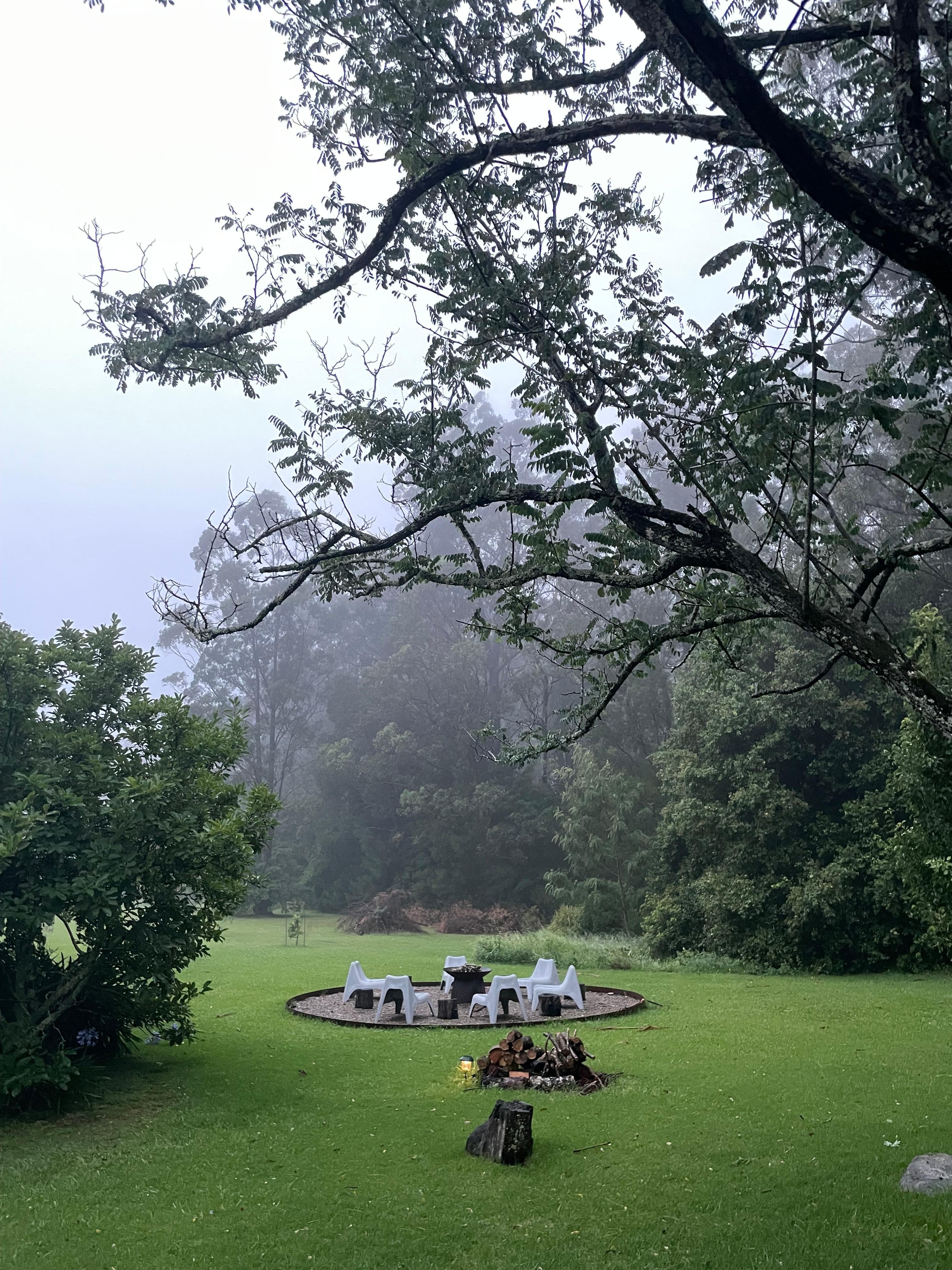 Dreaming of smores by the fire.