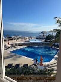 Ginger is so friendly. Will even nap with you