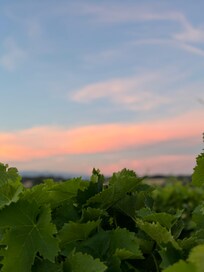 Abendsonne