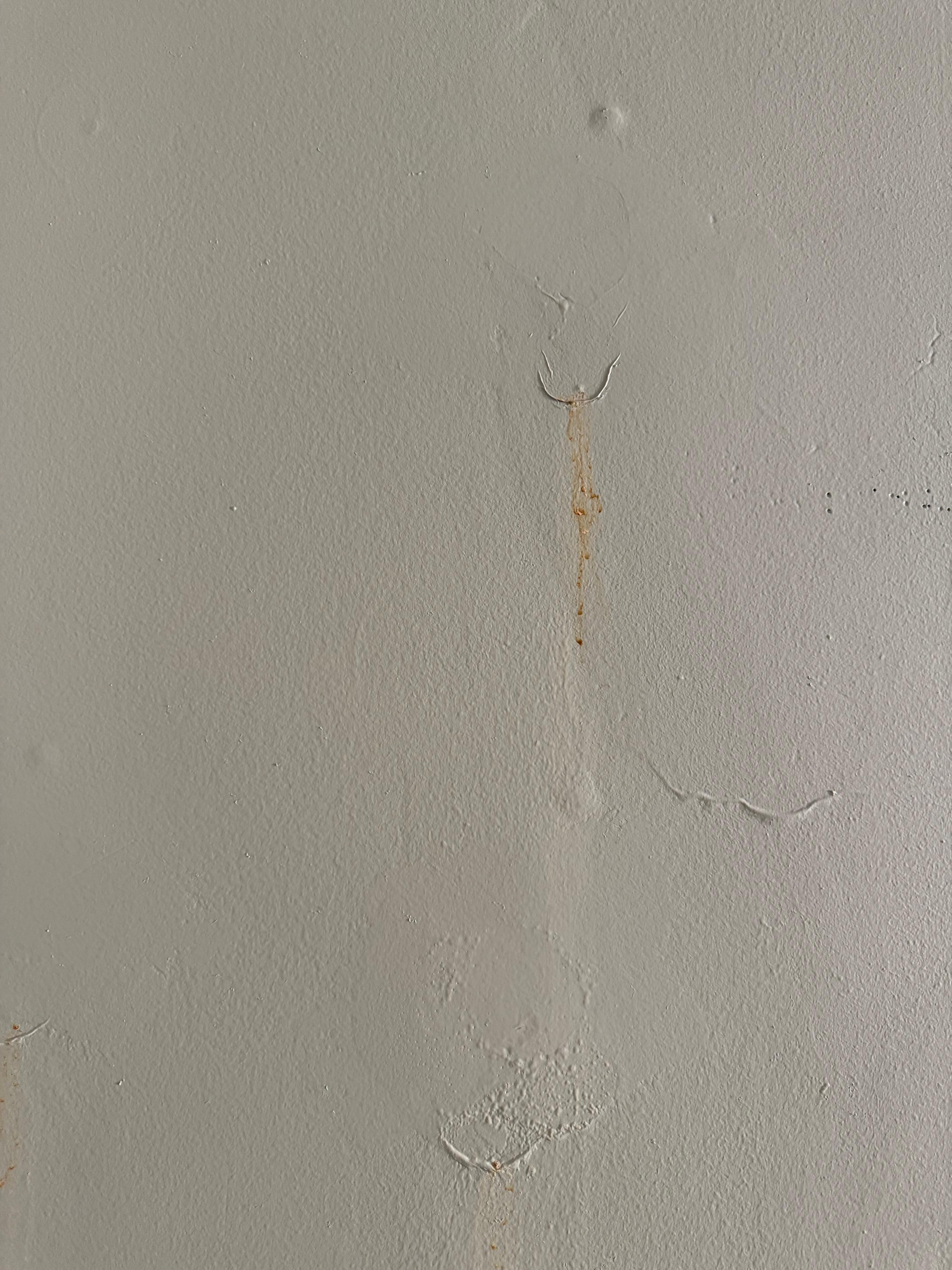 Not even sure what this is