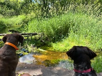 We all enjoyed Lamb Creek!