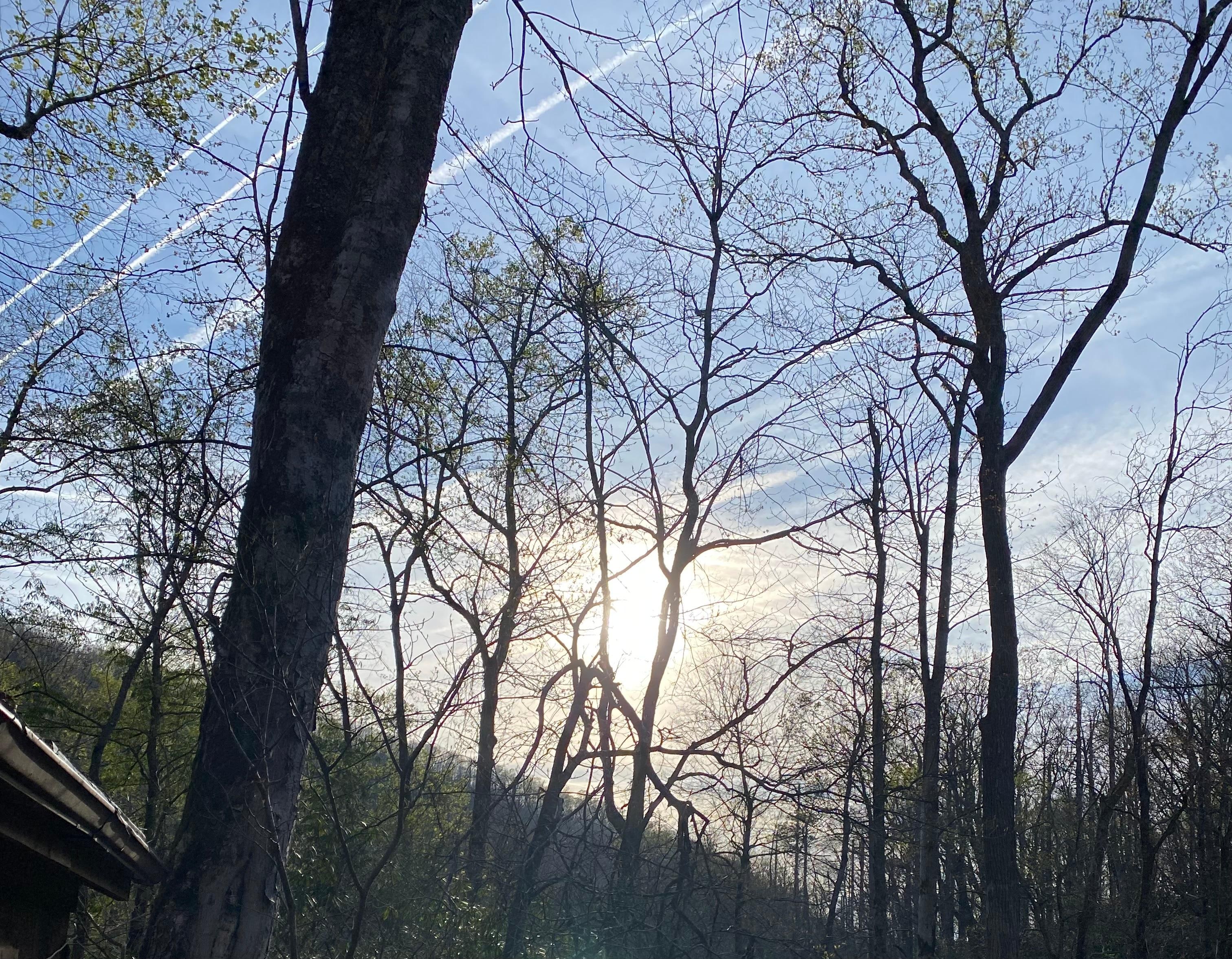 Beautiful view