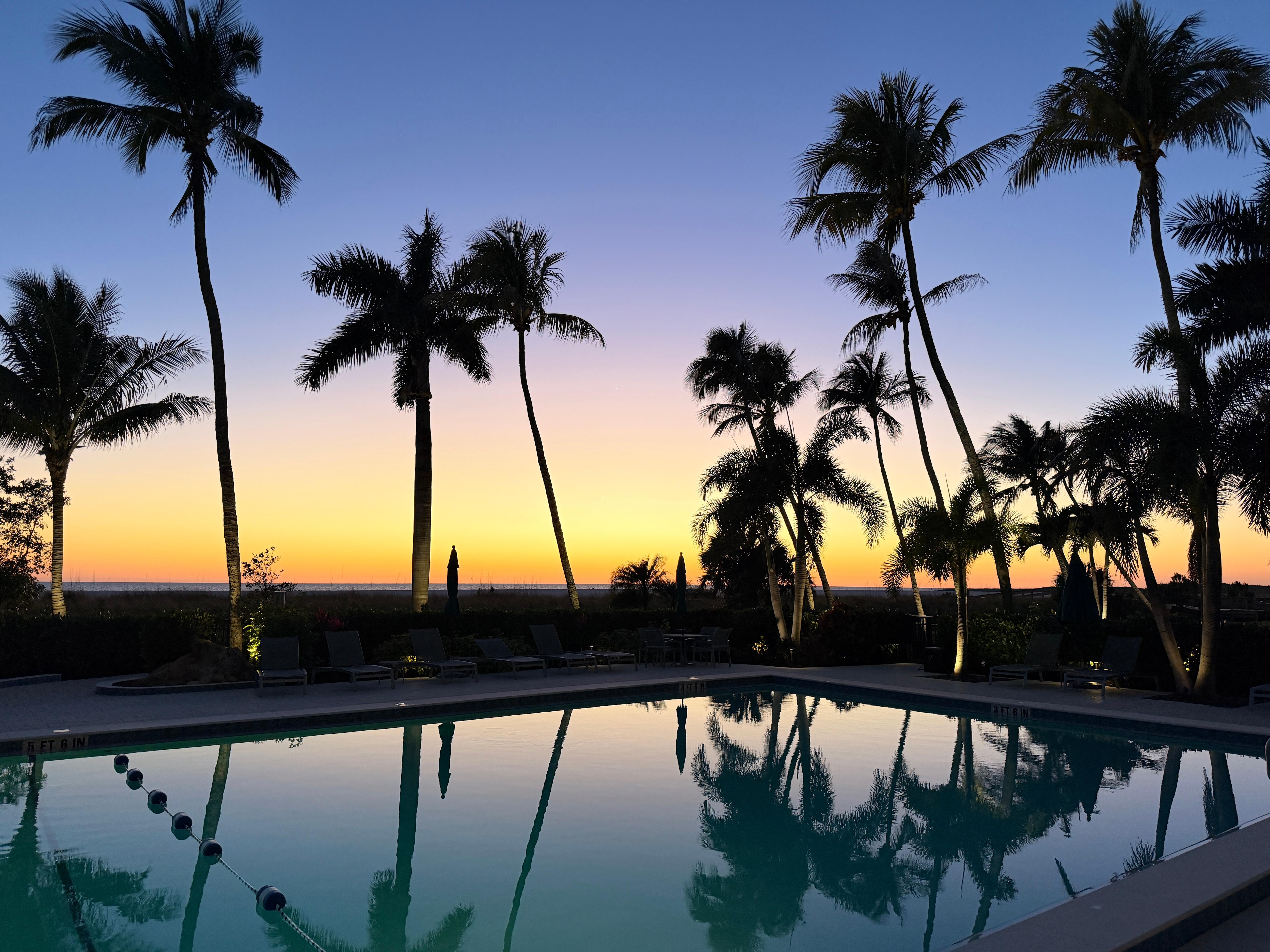 Pool sunset view.  
