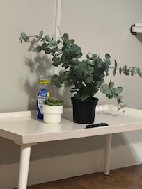 Cleaning supplies left