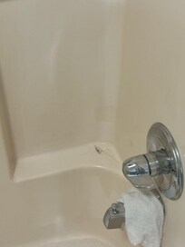 Nasty hair in the shower