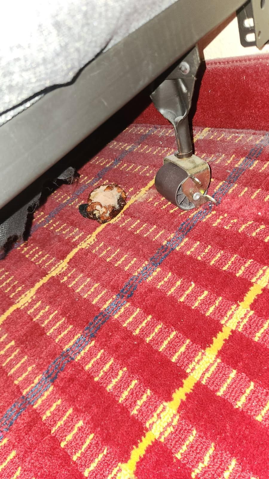 Food besides the bed