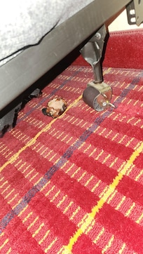 Food besides the bed