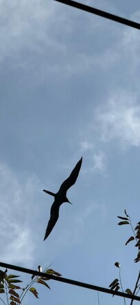 Sitting on the patio