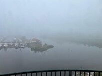 Foggy Morning
