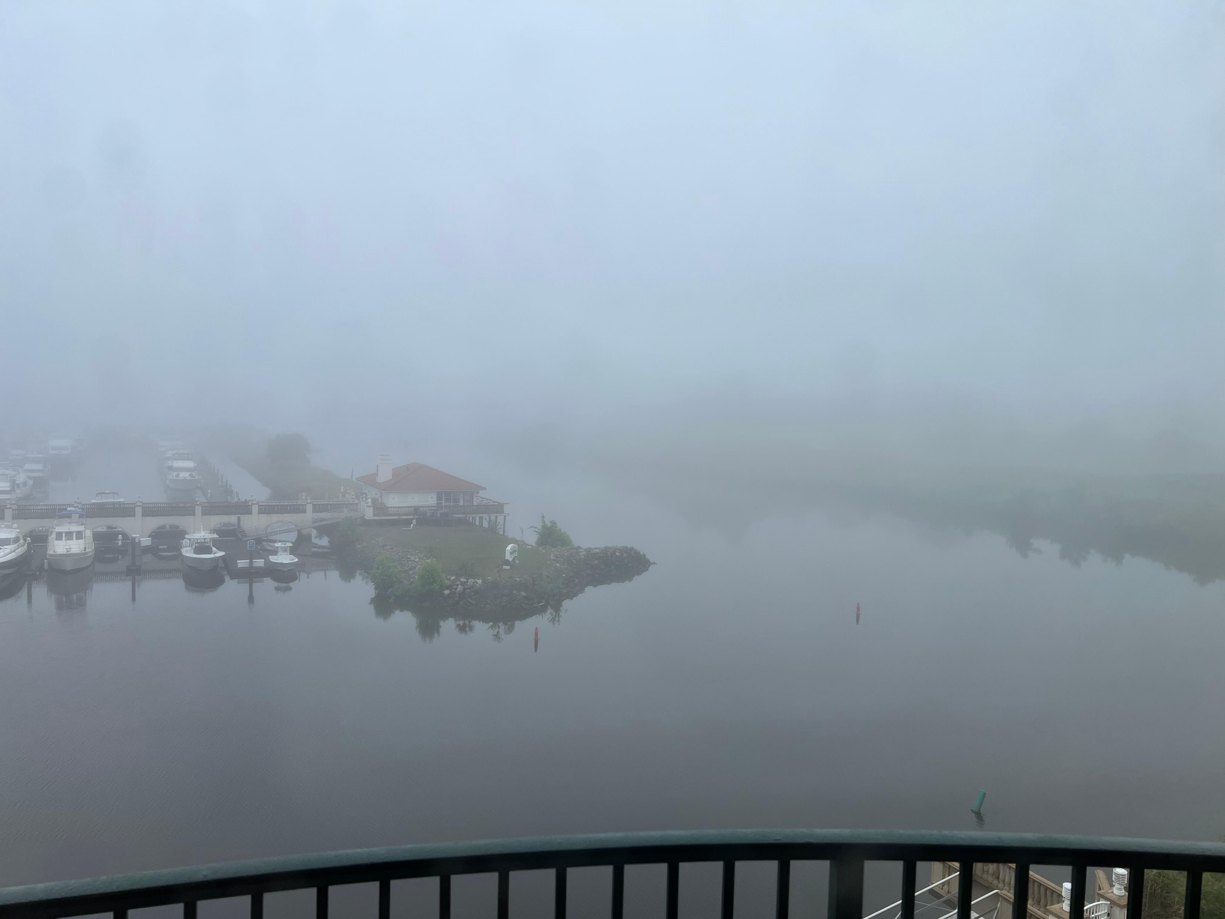 Foggy Morning 