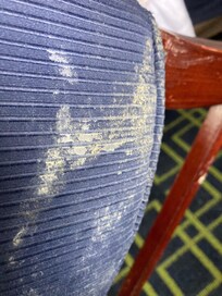 Moldy chair rm 138