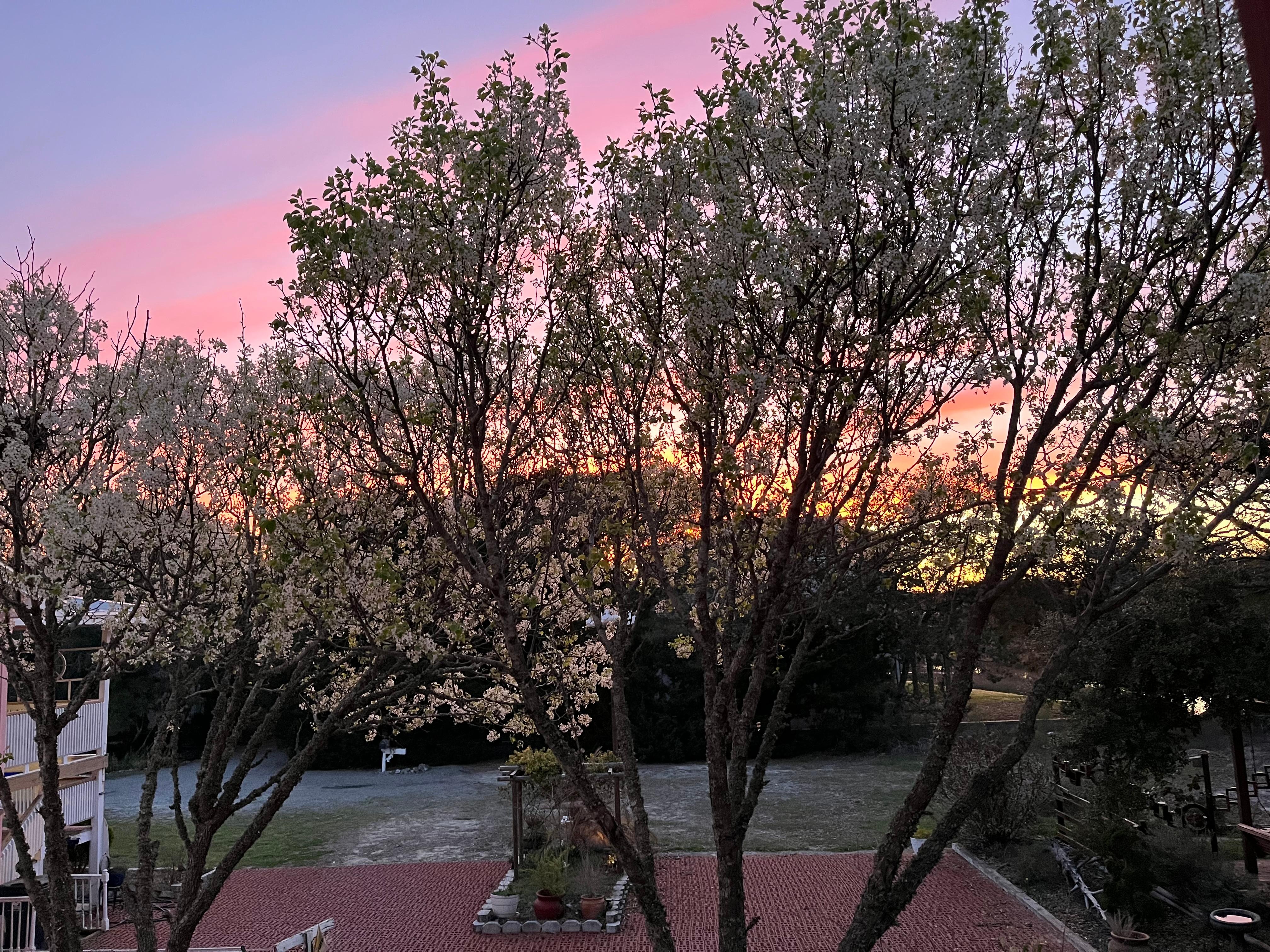 Sunset from the deck. 