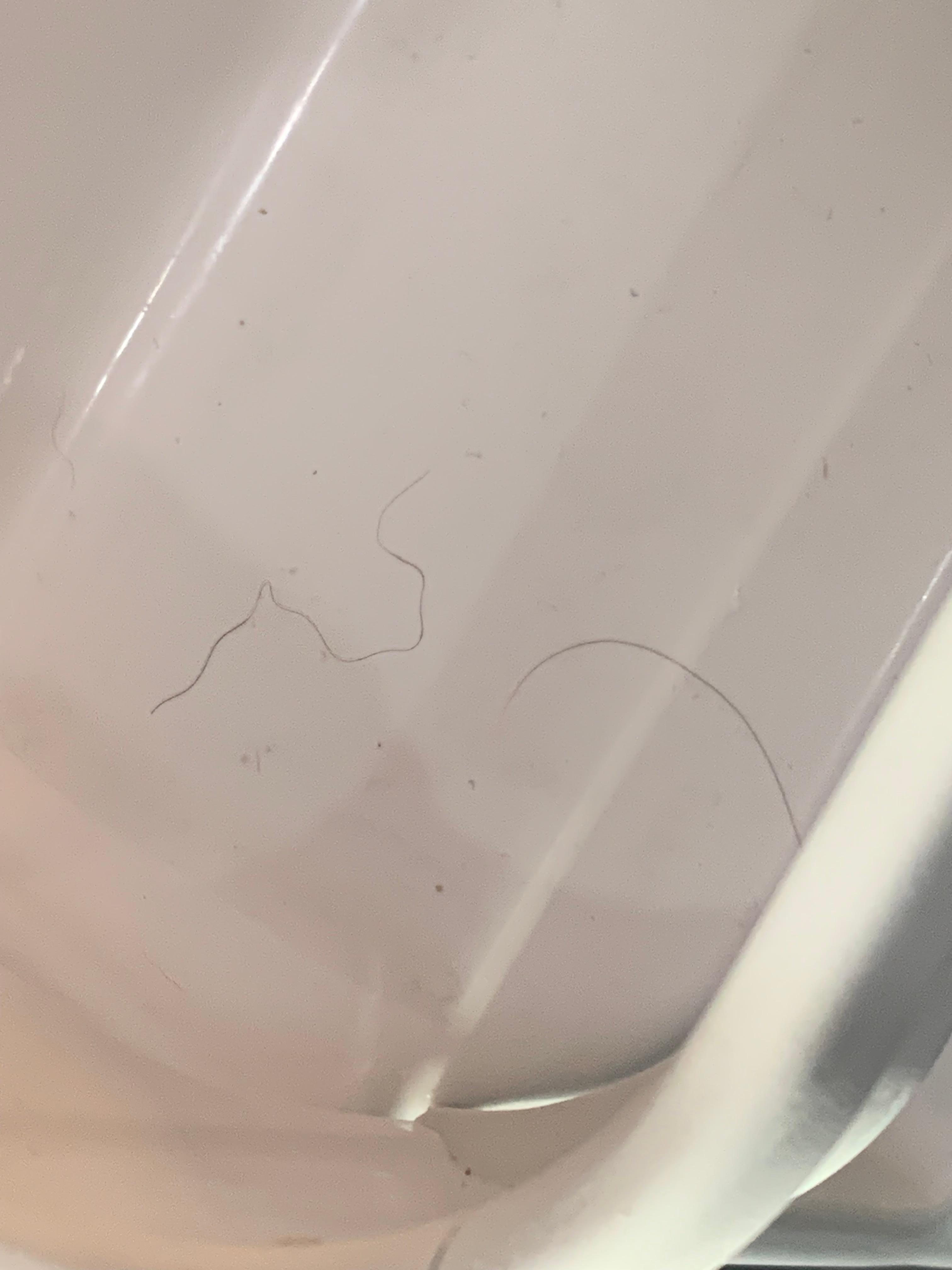 Hair inside shelf of fridge 
