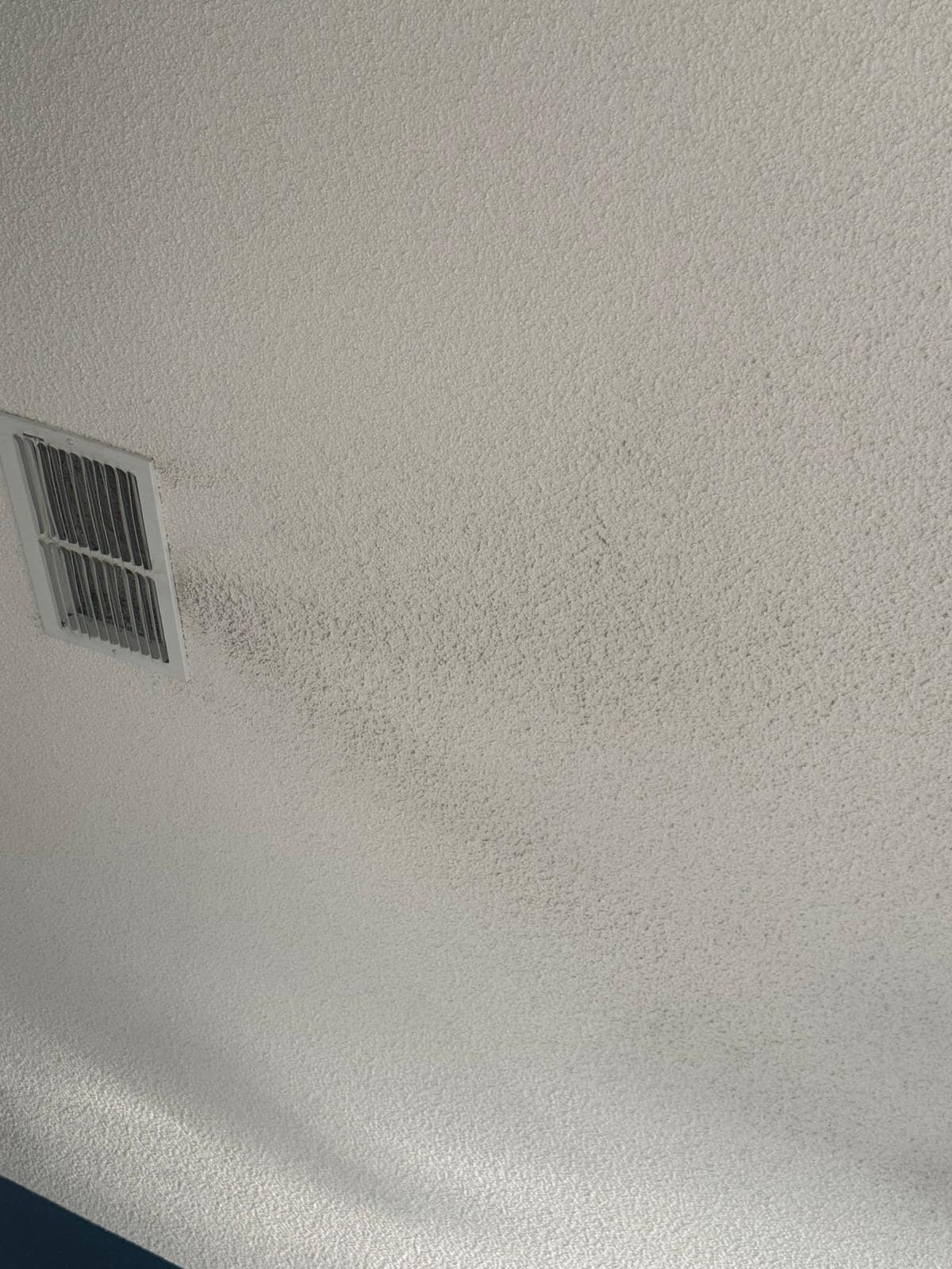Ceiling stains