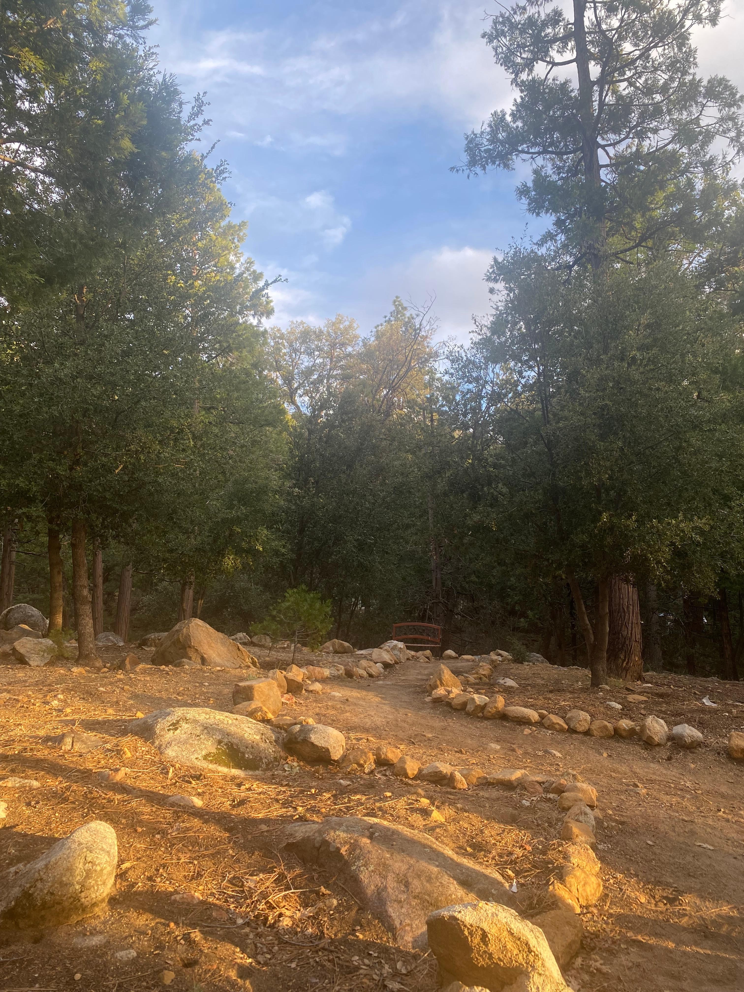 Tranquility walking path 