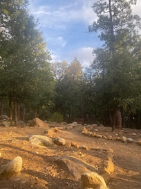 Tranquility walking path