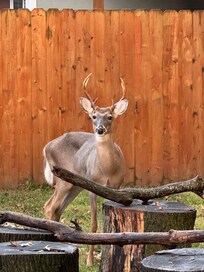 The locals were friendly!