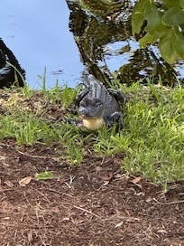 Awesome to see from a safe distance !