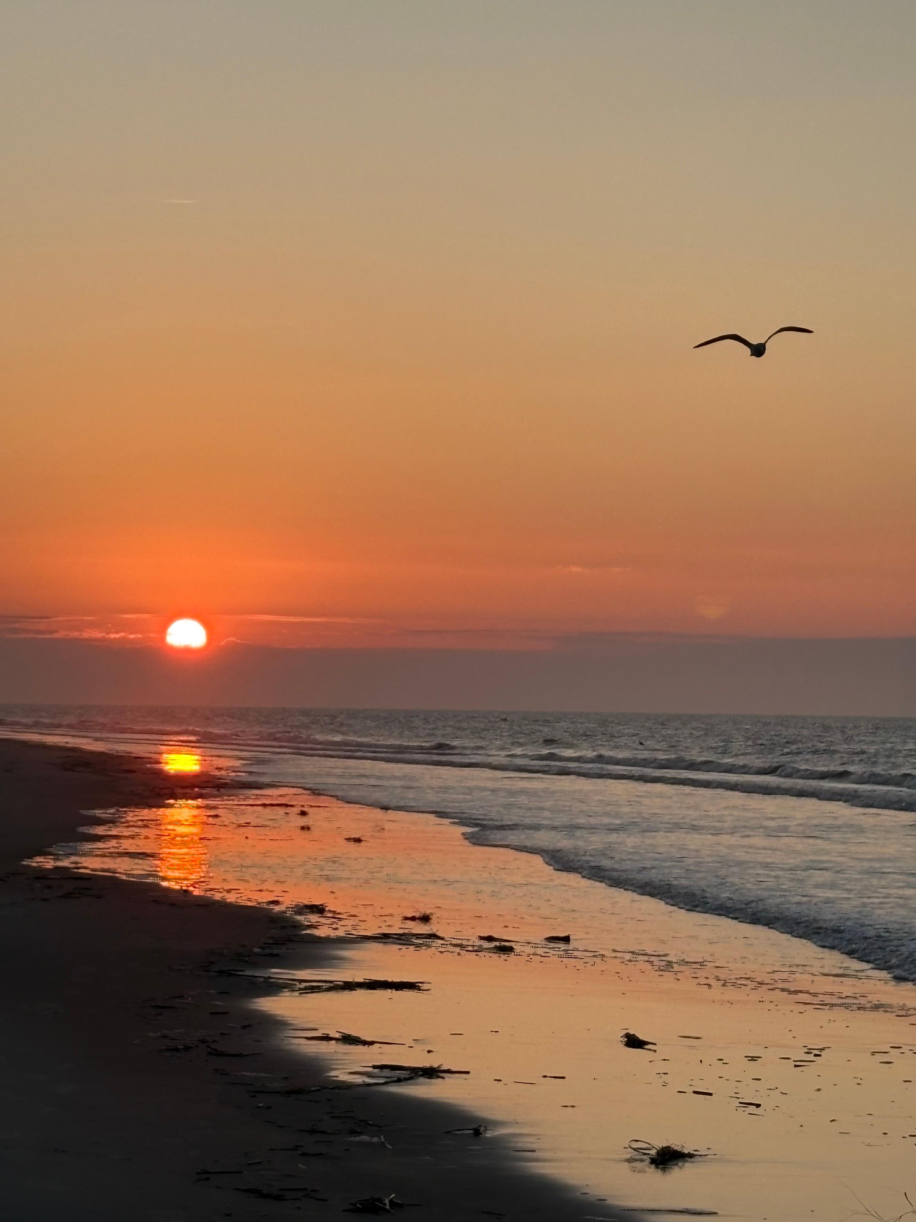 Sunsets are beautiful right out the back door!