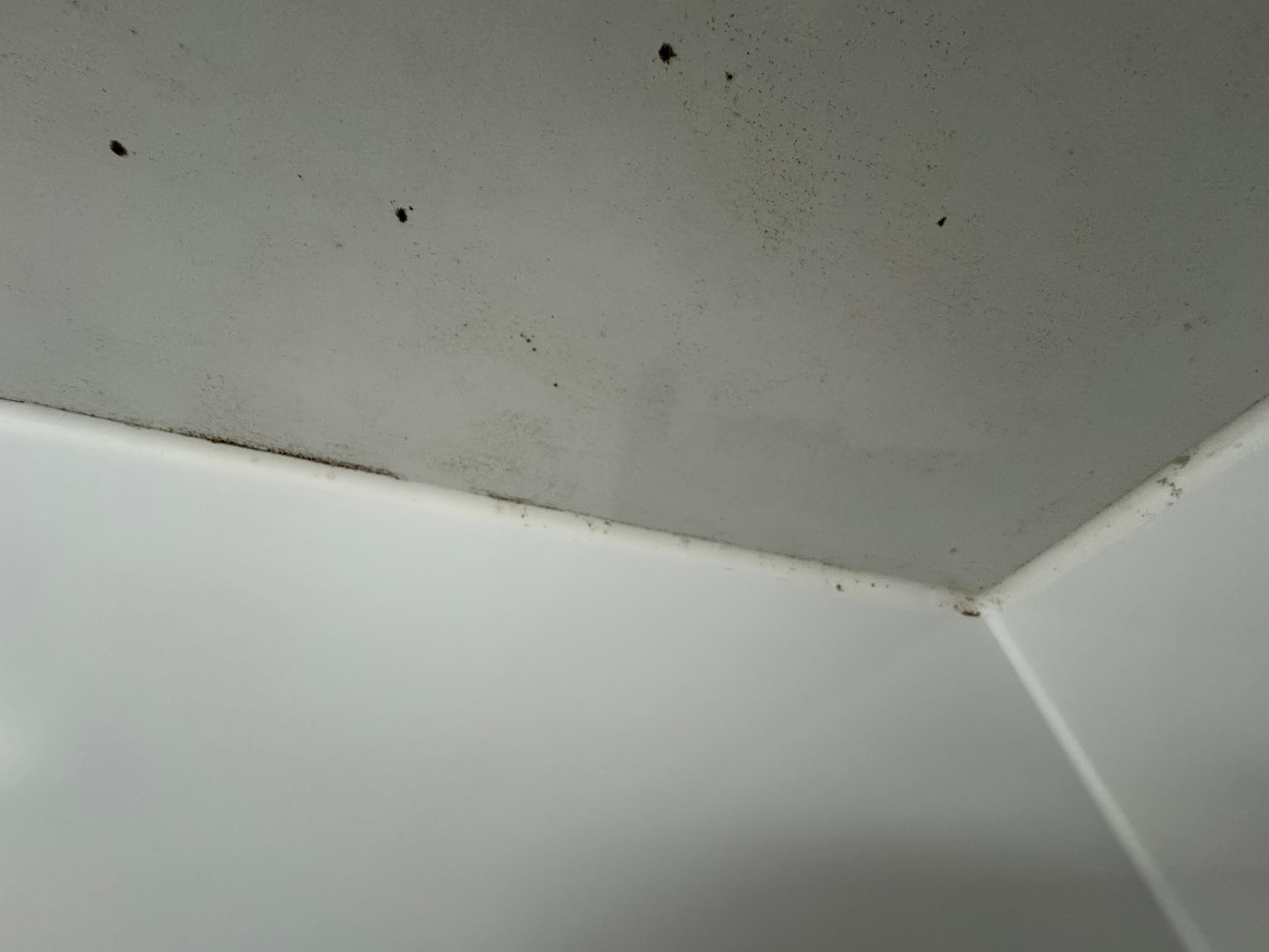 Schimmel an der Decke