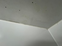 Schimmel an der Decke