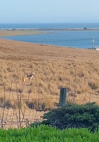 An evening friend outside our room