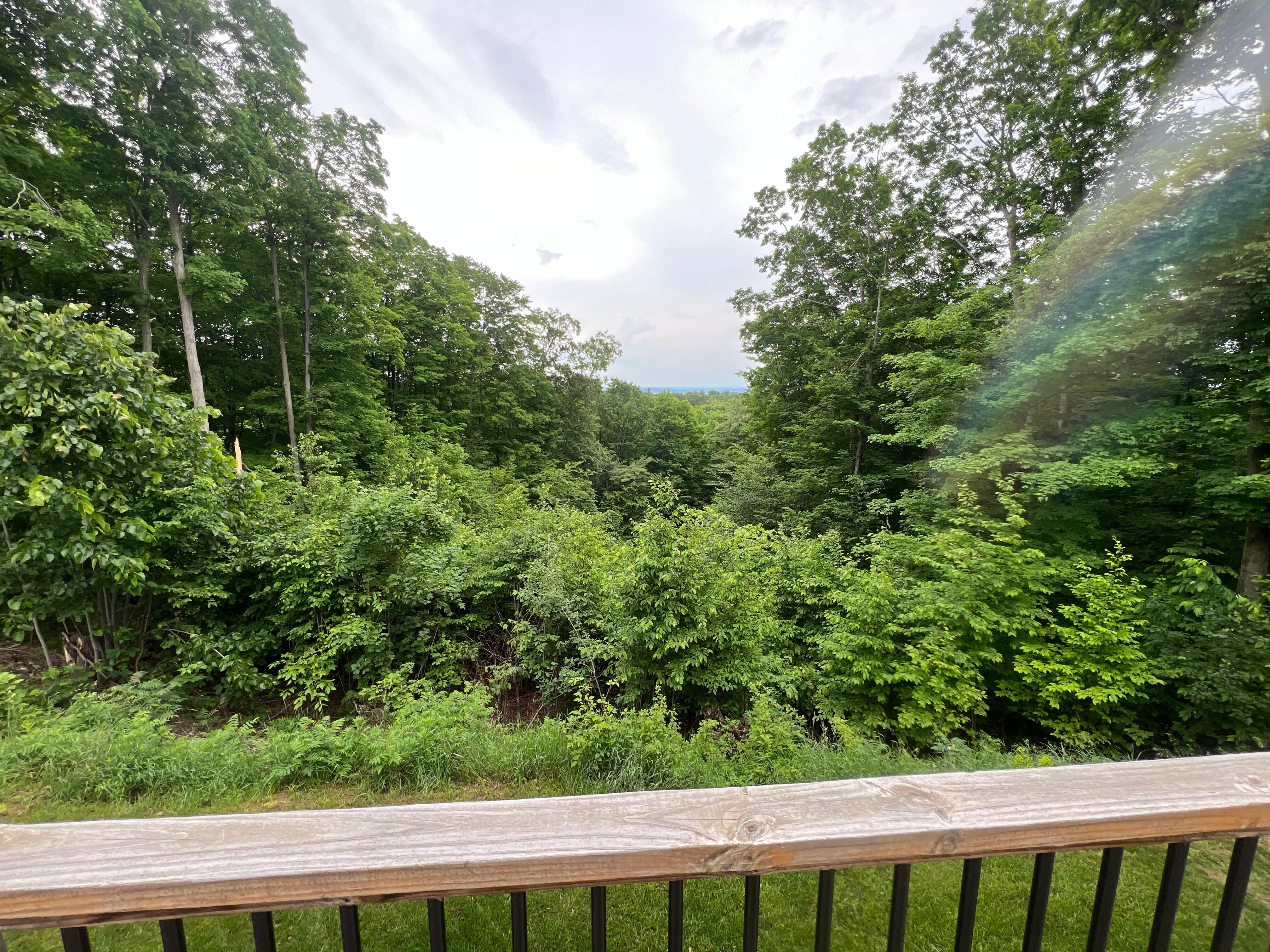 The view off the back porch is sooo beautiful