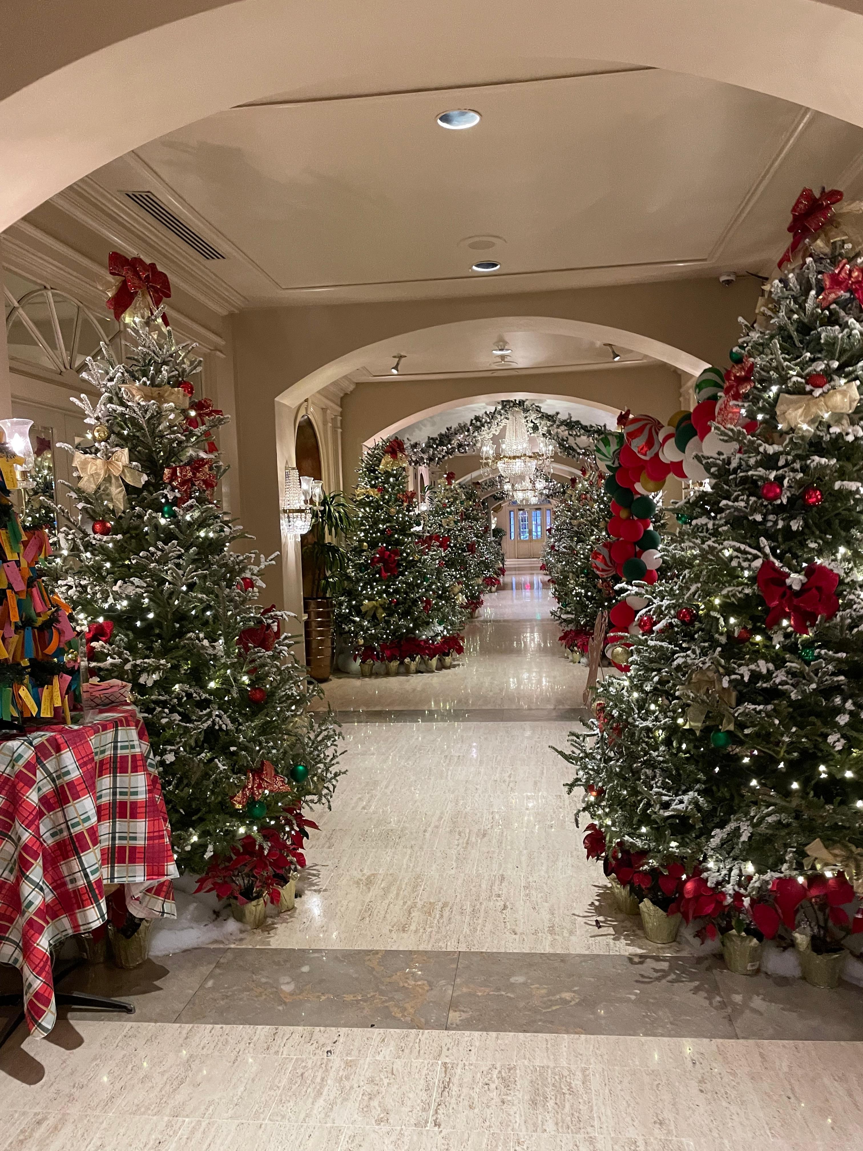 Main hallway during Christmas season. Very proper hotel  and staff. 