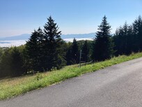 View from neighborhood