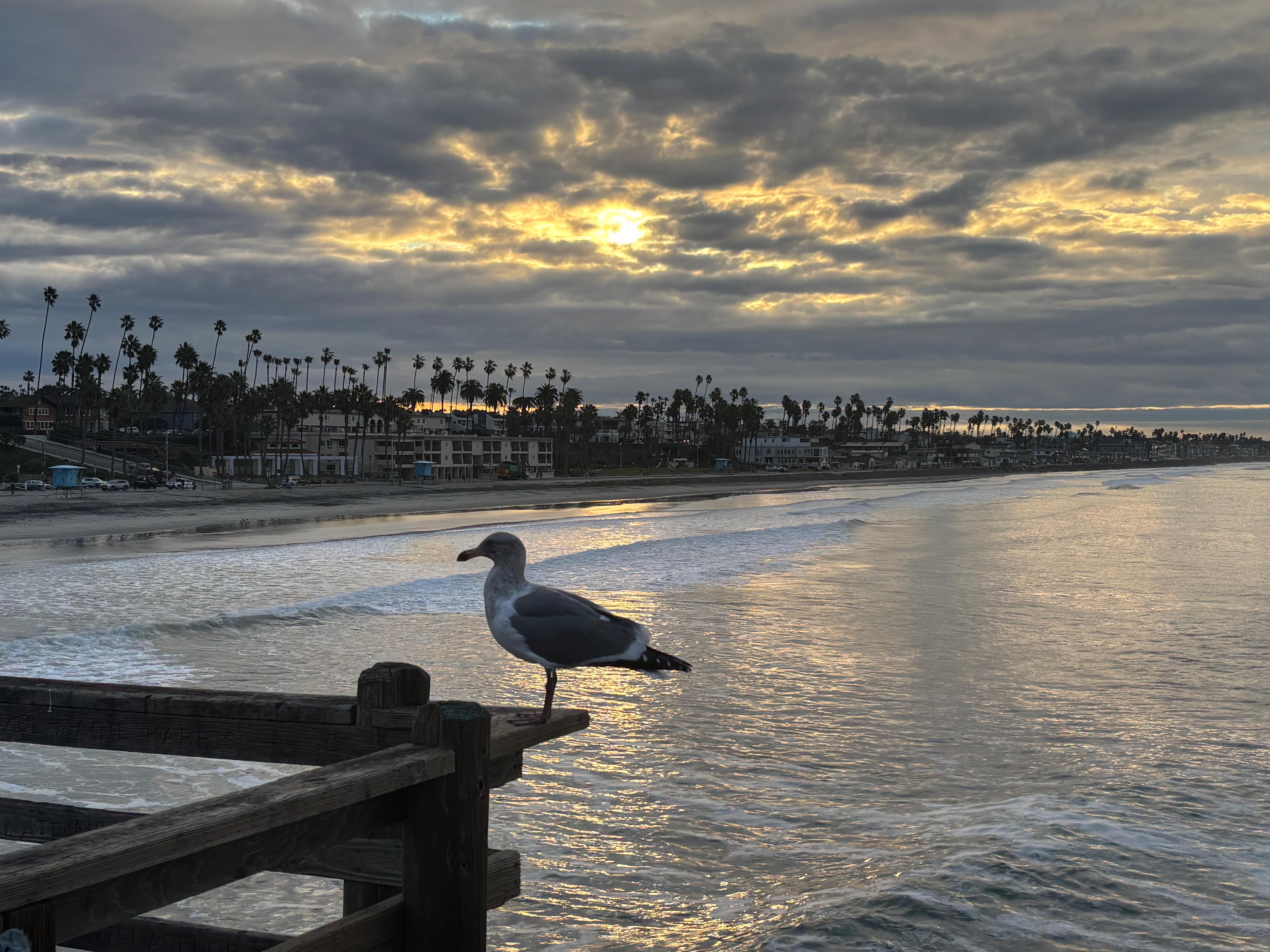 View from the pier looking back toward the property