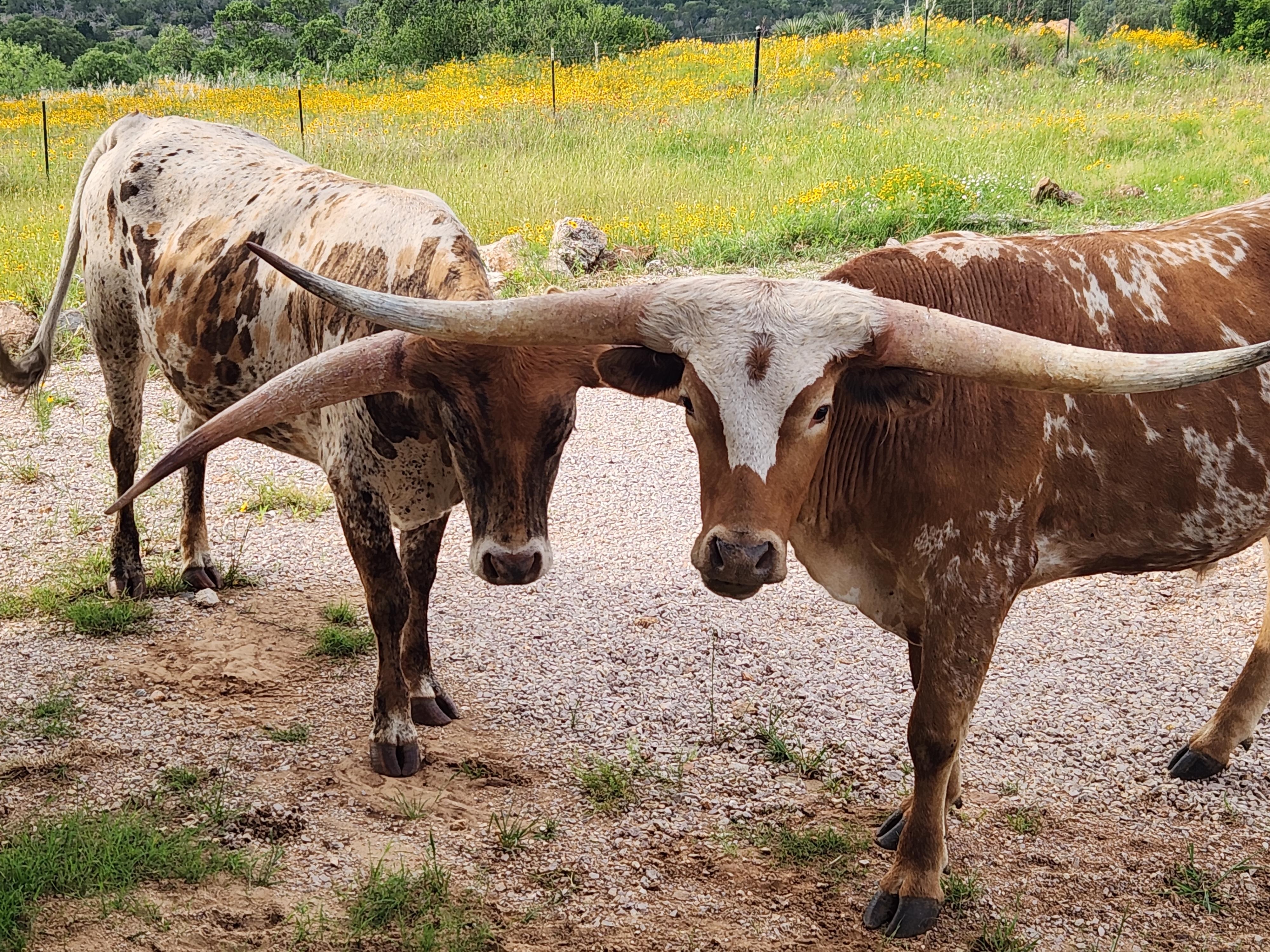 Friendly neighbors