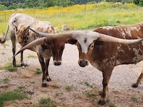 Friendly neighbors