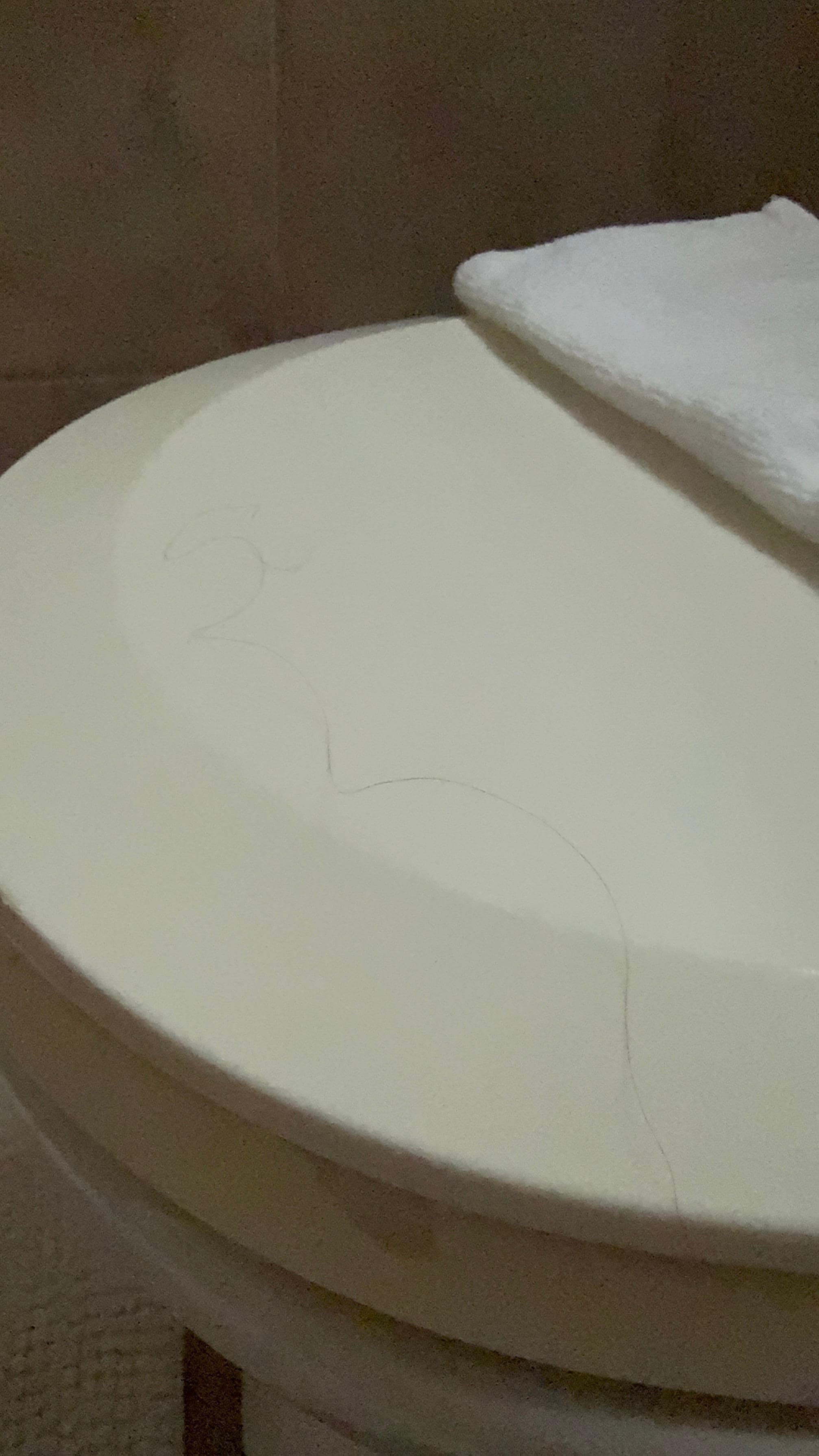 Long black hairs around the toilet