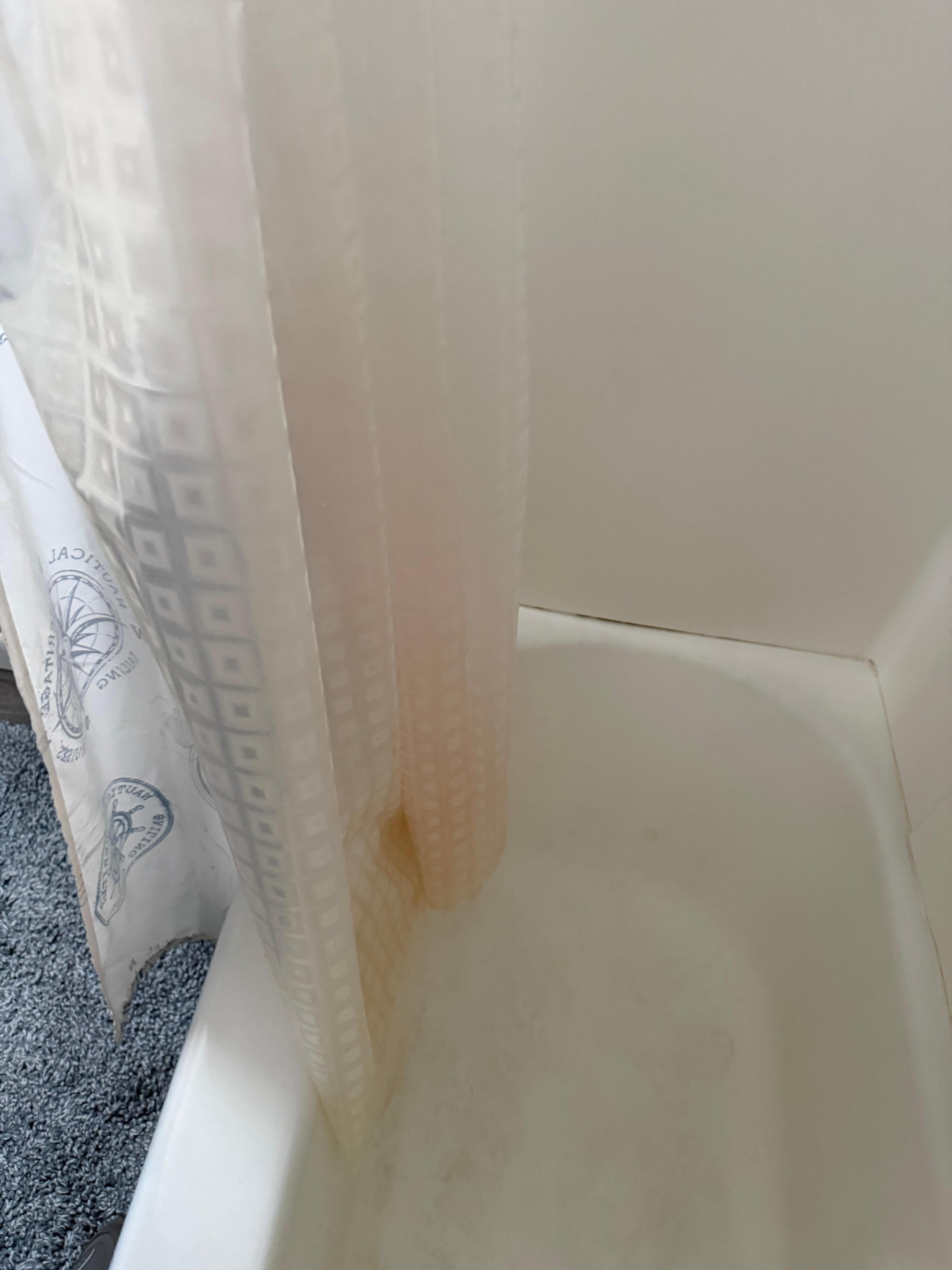 Old filthy curtain liner I had to replace 