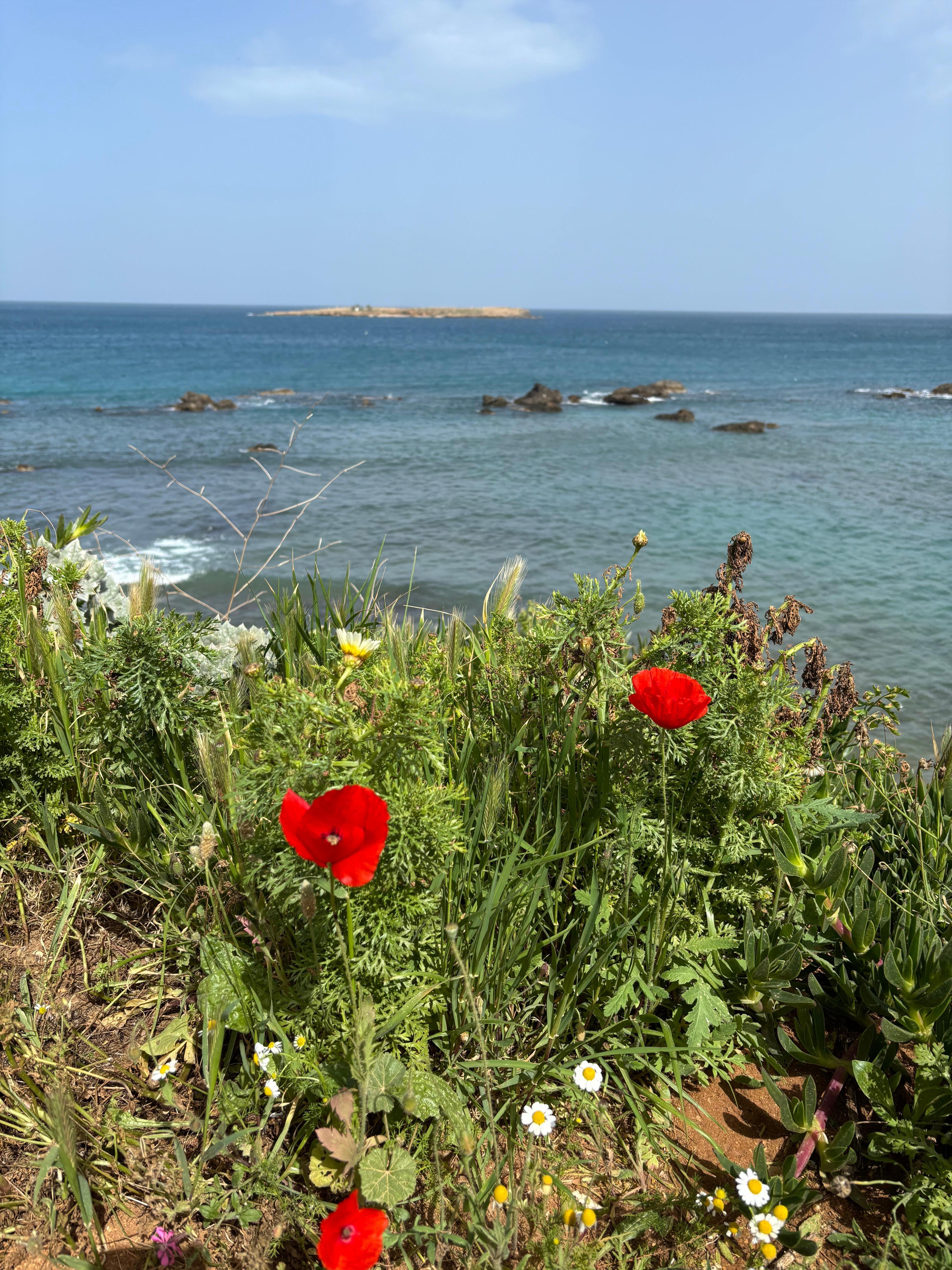 Beach on walking distance 