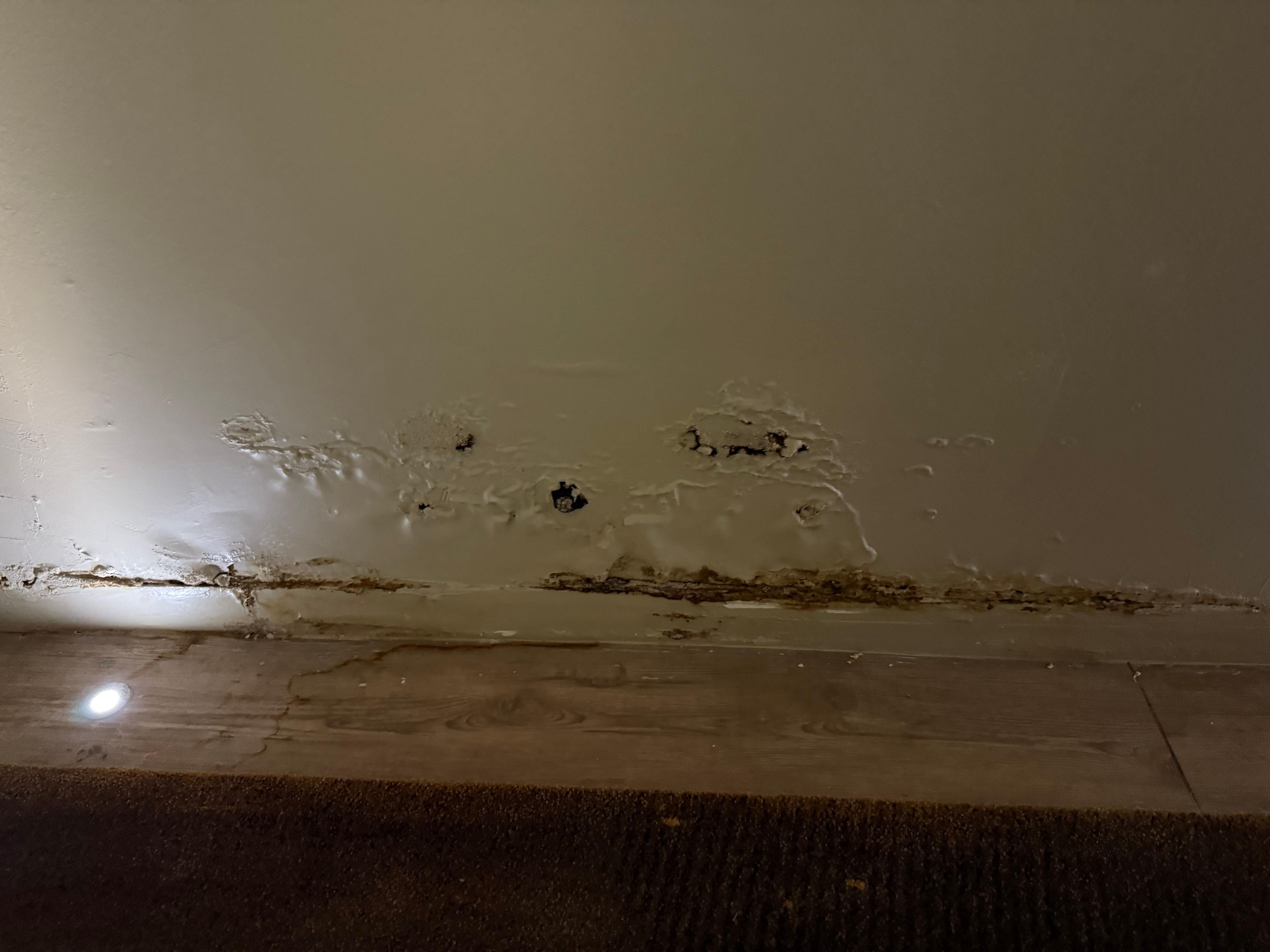 Hallway directly outside the room 