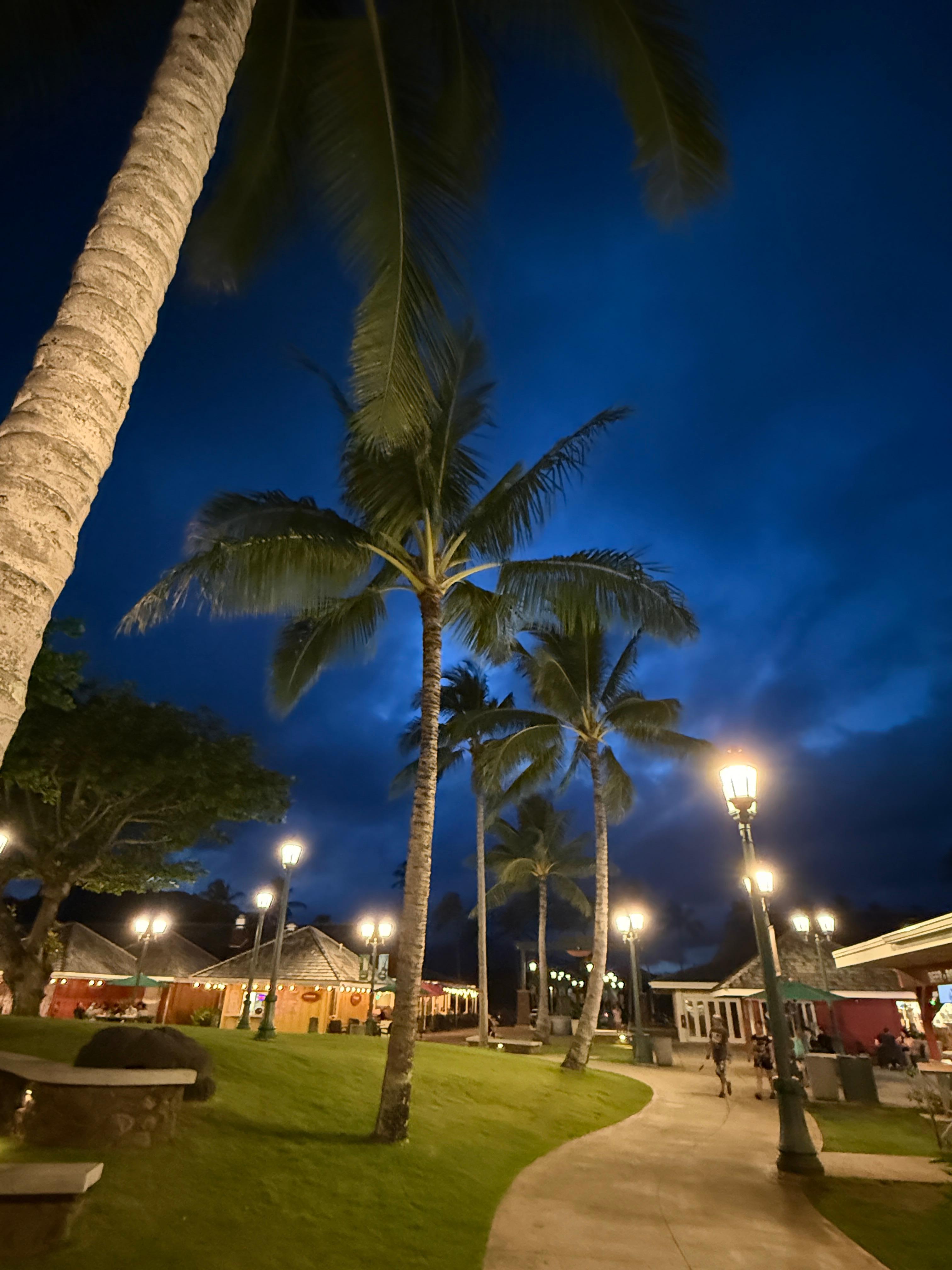 Coconut Marketplace