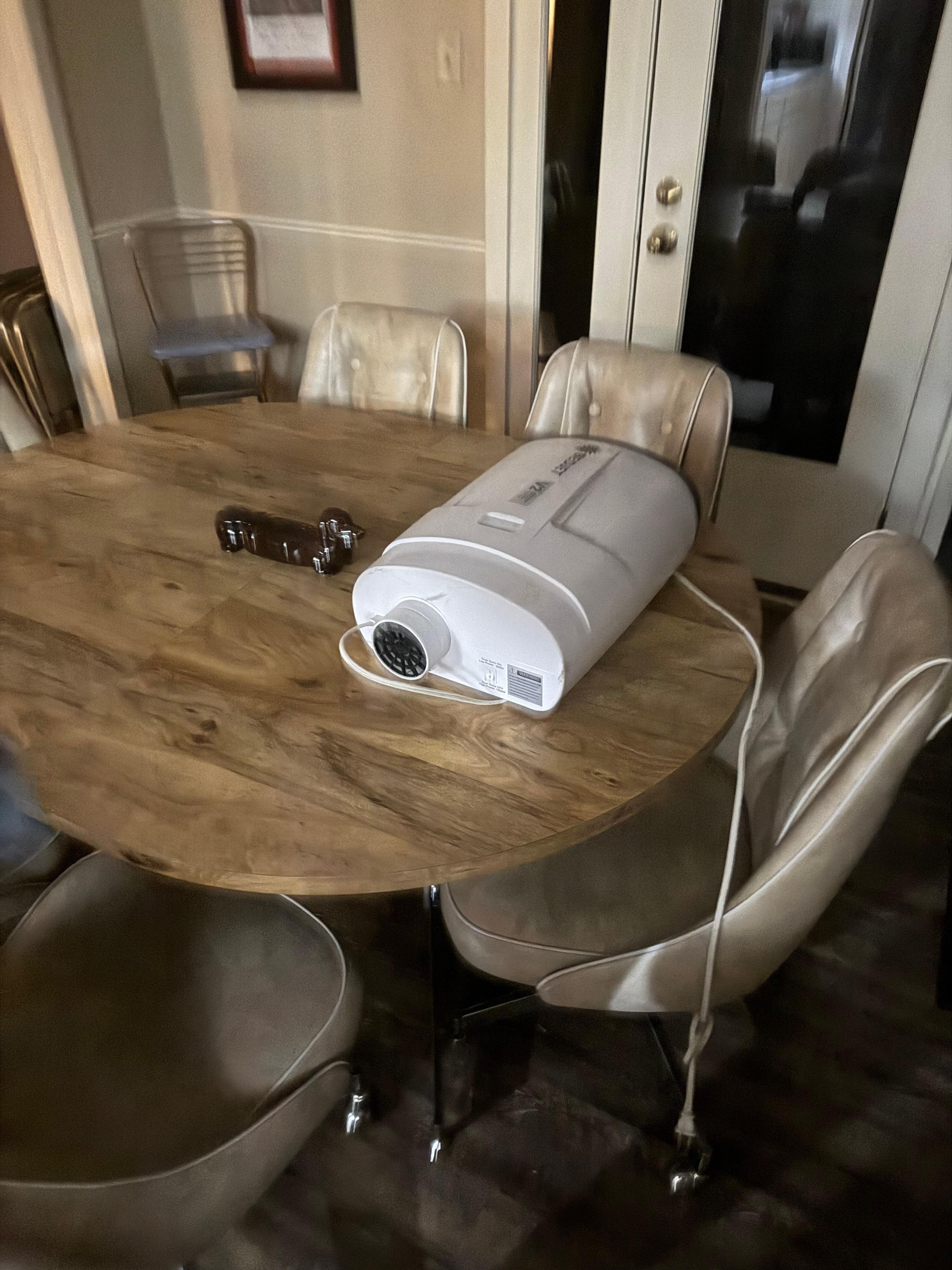 Showed up and weird part just laying in kitchen table