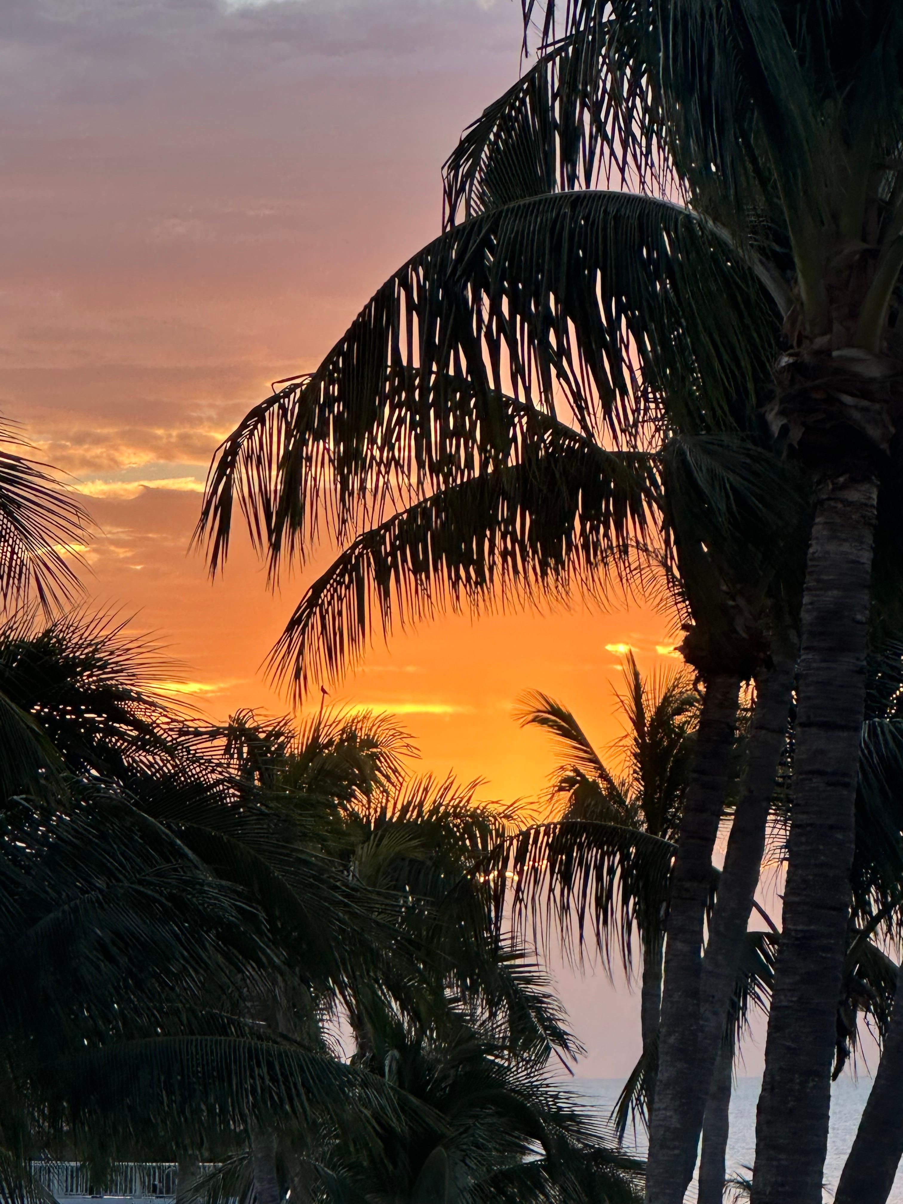 Sunrise view from our balcony 