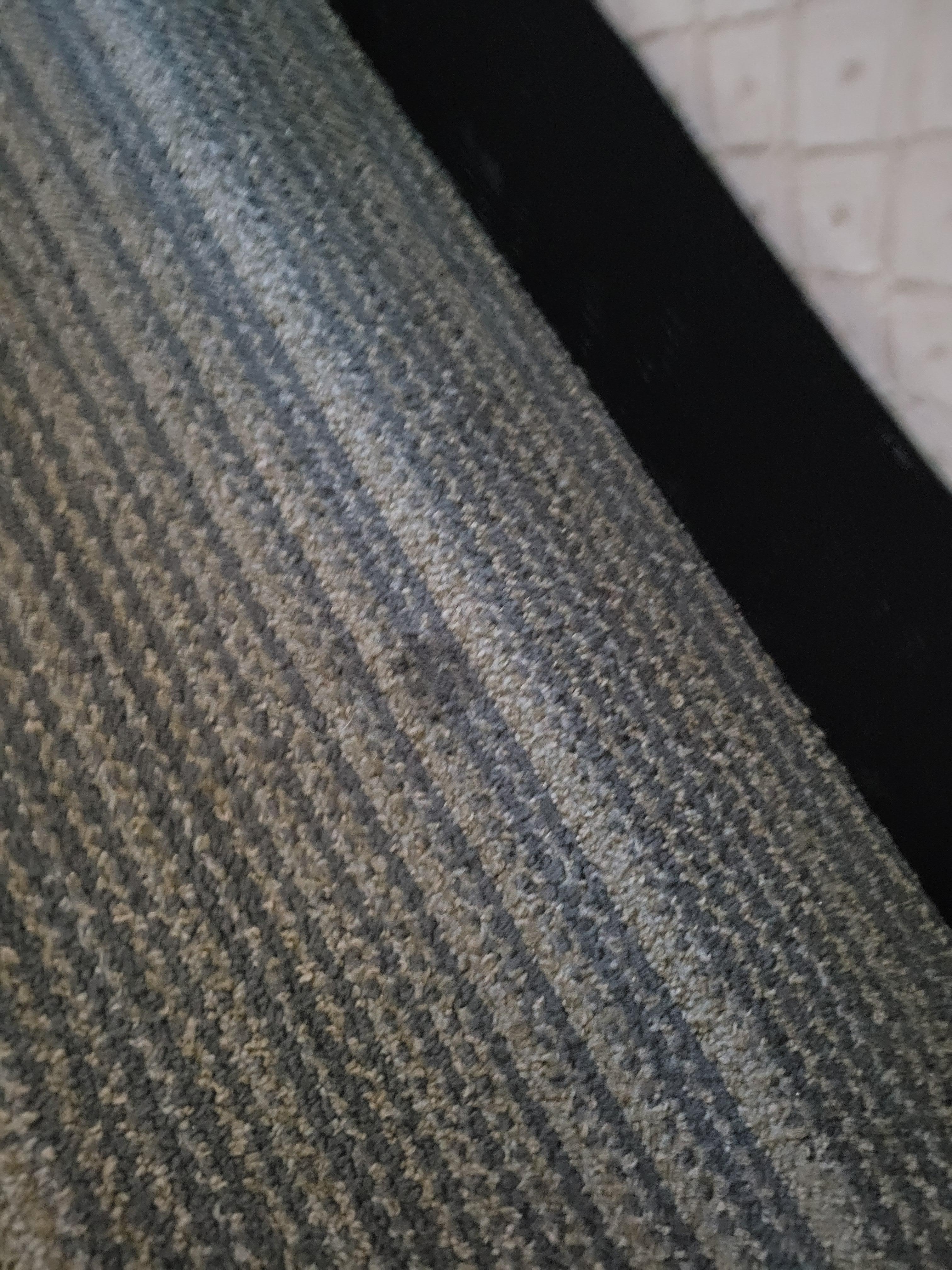 Several of these stains on the carpet in the room