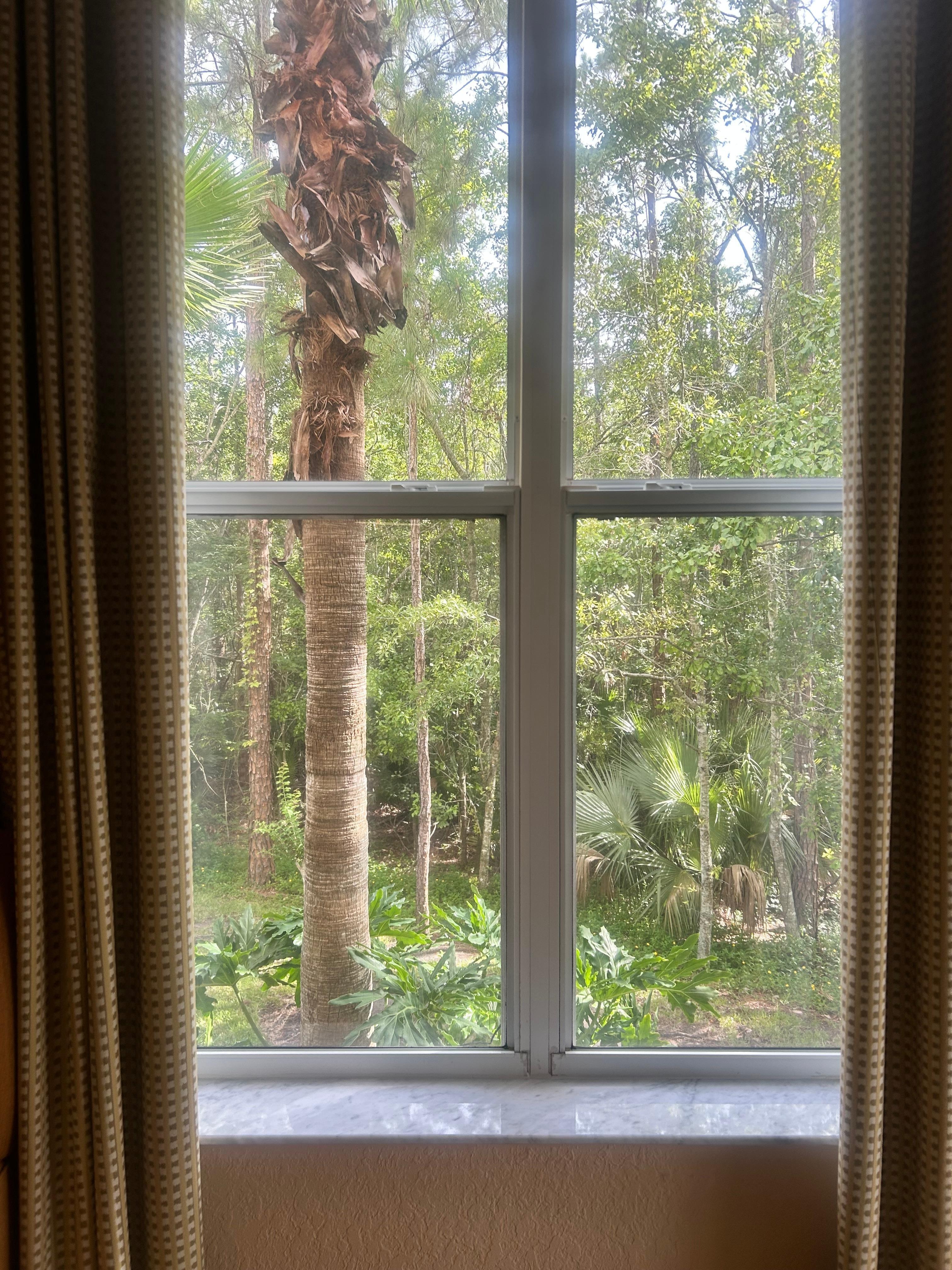 From my living room window. Building 12.