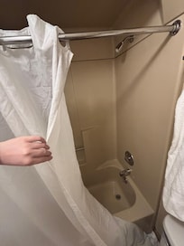 Shower “curtain” .